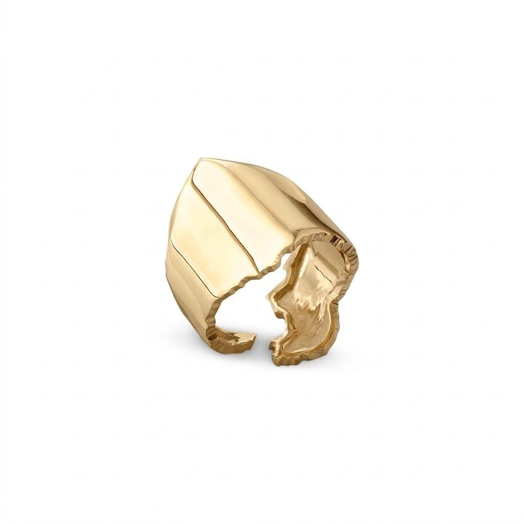 Israel Map Shield Ring in 14K solid gold, the map of Israel shaped as a curved
shield, by Breindell